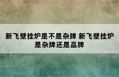 新飞壁挂炉是不是杂牌 新飞壁挂炉是杂牌还是品牌